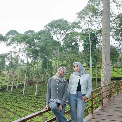 Jeep Dieng Zona 3 foto 7
