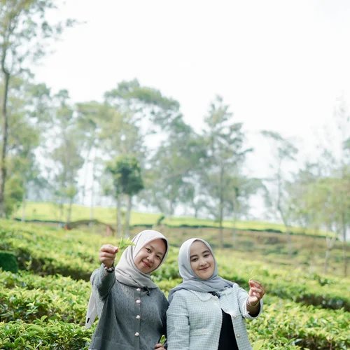 Paket Trip Dieng 1 Hari foto 4