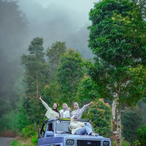 Jeep Dieng Zona 1 foto 4