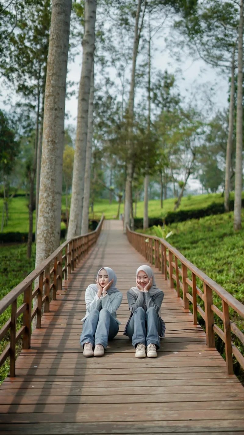 Kebun Teh Panama